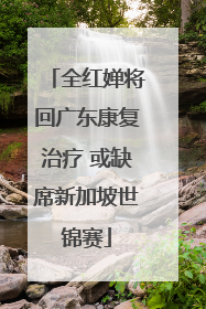 全红婵将回广东康复治疗 或缺席新加坡世锦赛