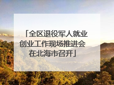 全区退役军人就业创业工作现场推进会在北海市召开