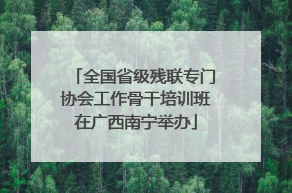 全国省级残联专门协会工作骨干培训班在广西南宁举办