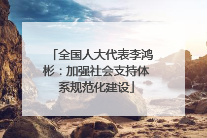 全国人大代表李鸿彬：加强社会支持体系规范化建设