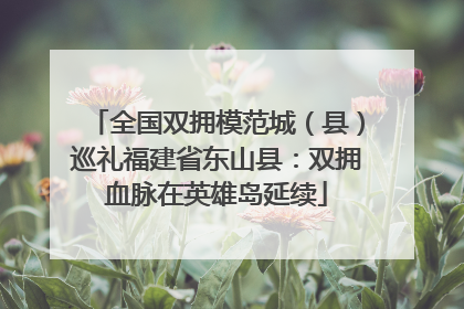 全国双拥模范城（县）巡礼福建省东山县：双拥血脉在英雄岛延续