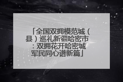 全国双拥模范城（县）巡礼新疆哈密市：双拥花开哈密城 军民同心谱新篇