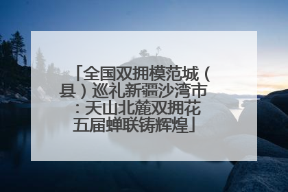 全国双拥模范城（县）巡礼新疆沙湾市：天山北麓双拥花 五届蝉联铸辉煌