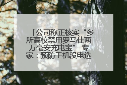 公司称正核实“多所高校禁用罗马仕两万毫安充电宝” 专家：预防手机没电选中等体积产品即可