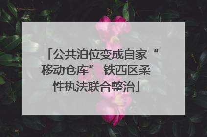 公共泊位变成自家“移动仓库” 铁西区柔性执法联合整治