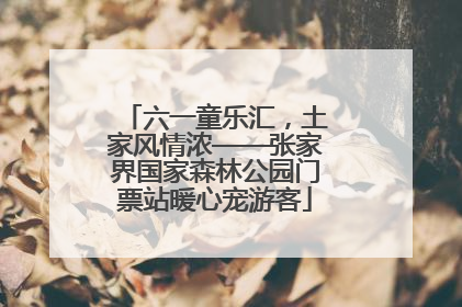 六一童乐汇，土家风情浓——张家界国家森林公园门票站暖心宠游客