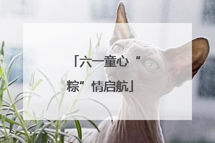六一童心“粽”情启航