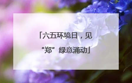 六五环境日，见“郑”绿意涌动