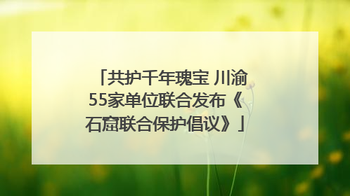 共护千年瑰宝 川渝55家单位联合发布《石窟联合保护倡议》