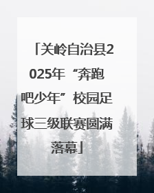 关岭自治县2025年“奔跑吧少年”校园足球三级联赛圆满落幕
