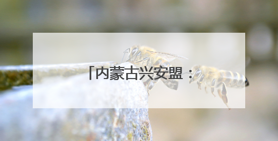 内蒙古兴安盟：“阳光银行”点亮乡村振兴路