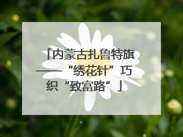 内蒙古扎鲁特旗——“绣花针”巧织“致富路”