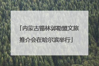 内蒙古锡林郭勒盟文旅推介会在哈尔滨举行