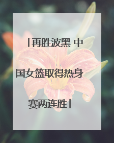 再胜波黑 中国女篮取得热身赛两连胜