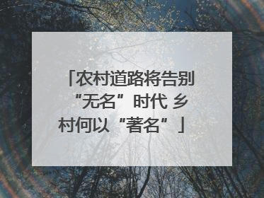 农村道路将告别“无名”时代 乡村何以“著名”
