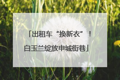 出租车“换新衣”！白玉兰绽放申城街巷