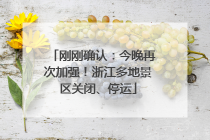 刚刚确认：今晚再次加强！浙江多地景区关闭、停运