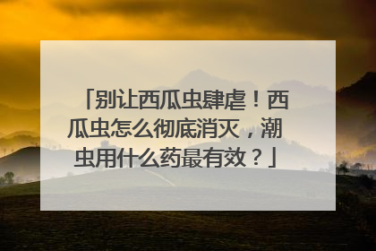 别让西瓜虫肆虐！西瓜虫怎么彻底消灭，潮虫用什么药最有效？