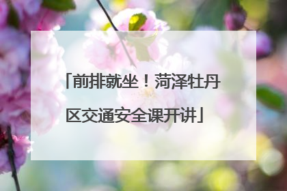 前排就坐！菏泽牡丹区交通安全课开讲