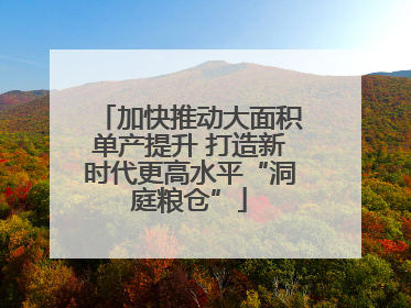 加快推动大面积单产提升 打造新时代更高水平“洞庭粮仓”