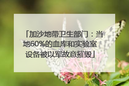 加沙地带卫生部门：当地60%的血库和实验室设备被以军故意摧毁