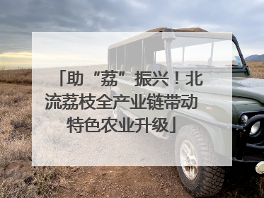 助“荔”振兴！北流荔枝全产业链带动特色农业升级