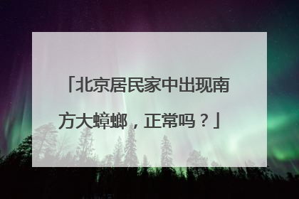 北京居民家中出现南方大蟑螂，正常吗？