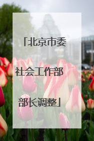 北京市委社会工作部部长调整