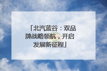 北汽蓝谷：双品牌战略领航，开启发展新征程