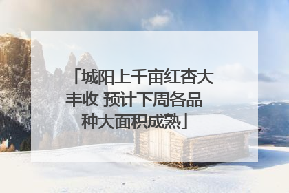 城阳上千亩红杏大丰收 预计下周各品种大面积成熟