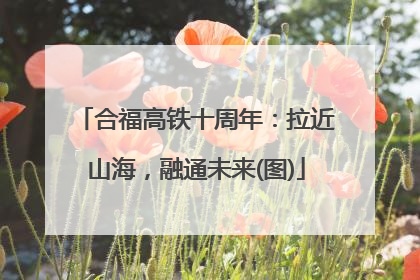 合福高铁十周年：拉近山海，融通未来(图)