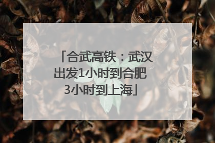 合武高铁：武汉出发1小时到合肥3小时到上海
