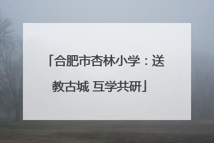 合肥市杏林小学：送教古城 互学共研