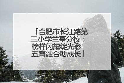 合肥市长江路第三小学兰亭分校：榜样闪耀绽光彩 五育融合助成长