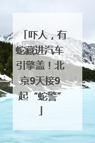 吓人，有蛇藏进汽车引擎盖！北京9天接9起“蛇警”