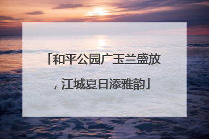 和平公园广玉兰盛放，江城夏日添雅韵