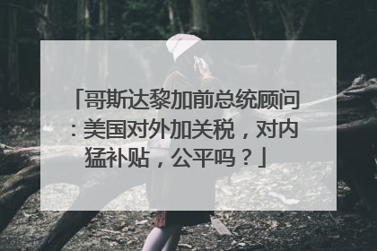 哥斯达黎加前总统顾问：美国对外加关税，对内猛补贴，公平吗？