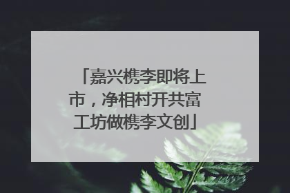 嘉兴槜李即将上市，净相村开共富工坊做槜李文创