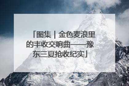 图集｜金色麦浪里的丰收交响曲——豫东三夏抢收纪实