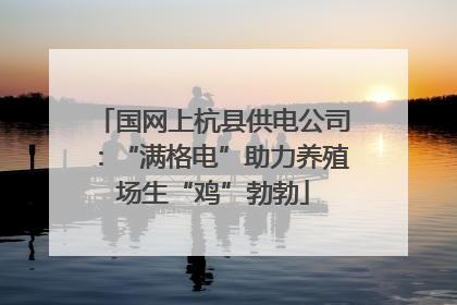 国网上杭县供电公司：“满格电”助力养殖场生“鸡”勃勃
