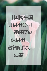 国网平舆县供电公司：迎峰度夏保供电  数智赋能守清凉