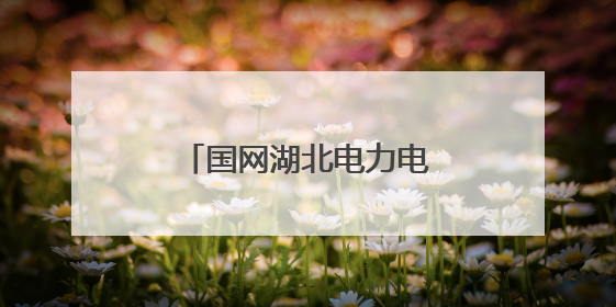 国网湖北电力电碳实验室获省部级重点实验室认定