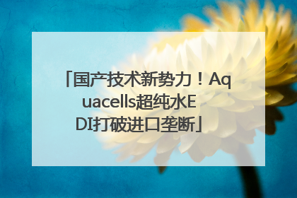 国产技术新势力！Aquacells超纯水EDI打破进口垄断