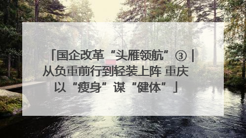 国企改革“头雁领航”③｜从负重前行到轻装上阵 重庆以“瘦身”谋“健体”