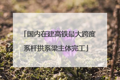 国内在建高铁最大跨度系杆拱系梁主体完工