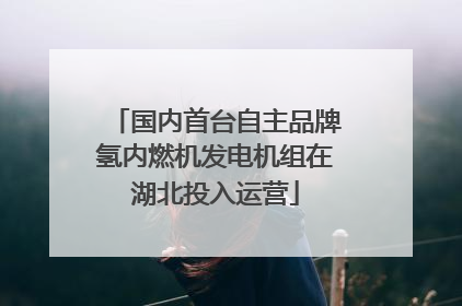 国内首台自主品牌氢内燃机发电机组在湖北投入运营