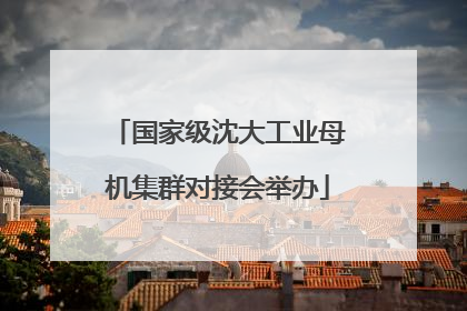 国家级沈大工业母机集群对接会举办