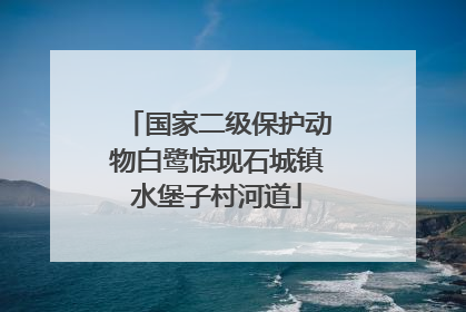 国家二级保护动物白鹭惊现石城镇水堡子村河道