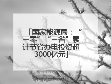 国家能源局：“三零”“三省”累计节省办电投资超3000亿元
