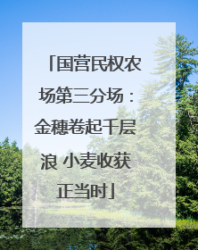 国营民权农场第三分场：金穗卷起千层浪 小麦收获正当时